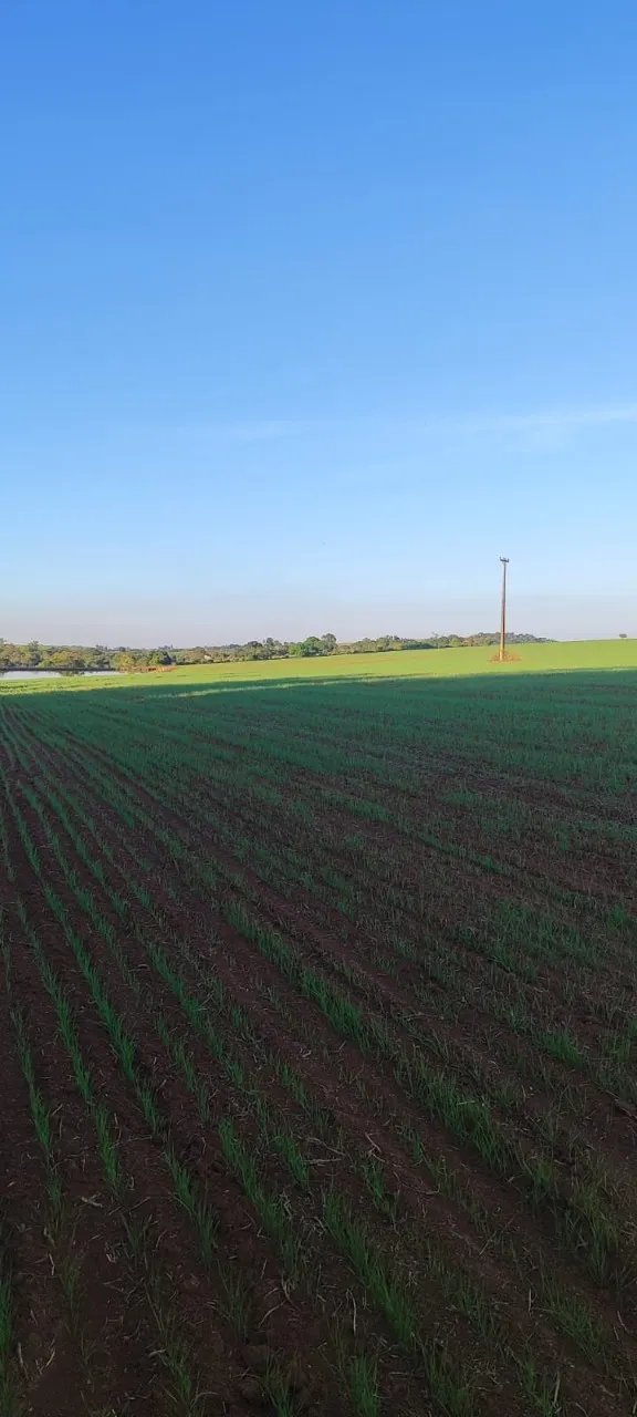 Fazenda à venda de 90 ha em Quadra, SP, Brasil