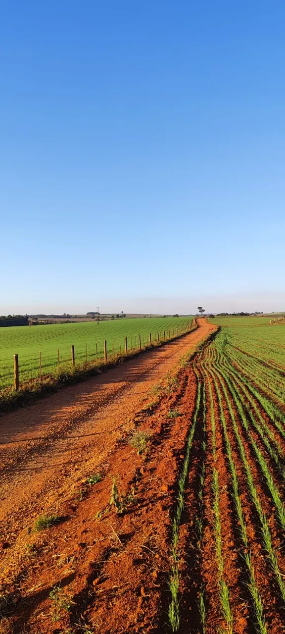 Fazenda à venda de 90 ha em Quadra, SP, Brasil