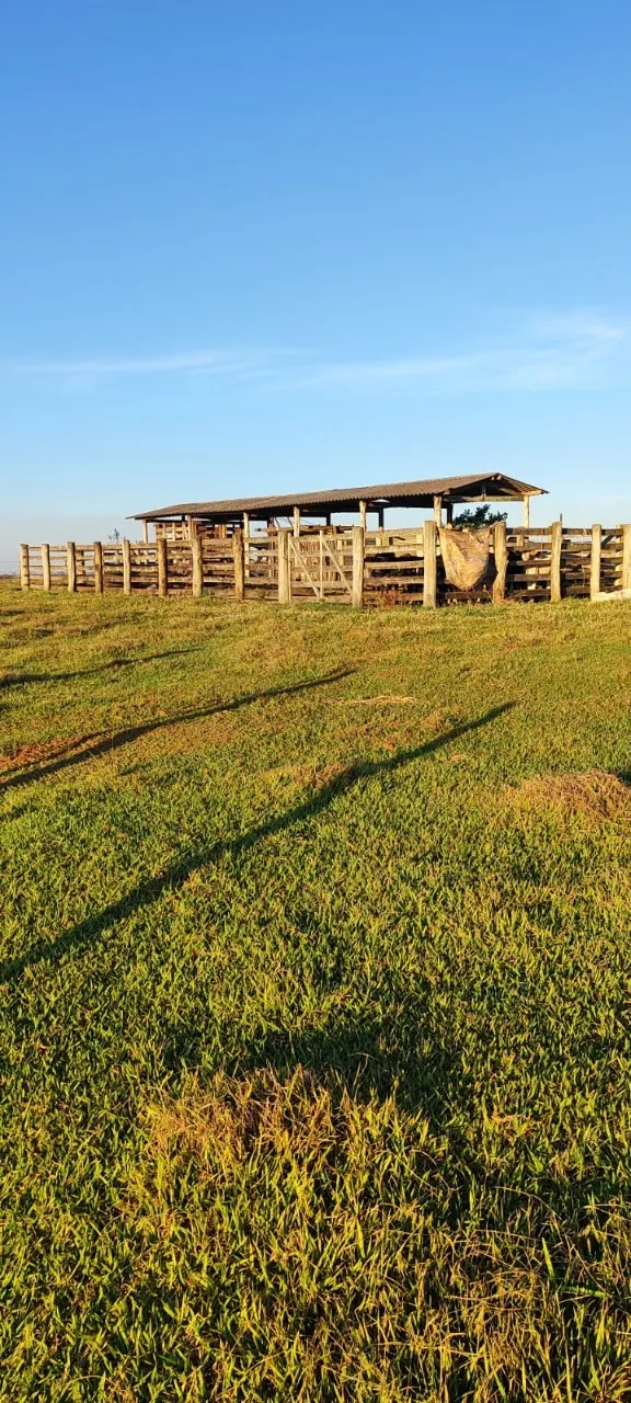 Fazenda à venda de 90 ha em Quadra, SP, Brasil