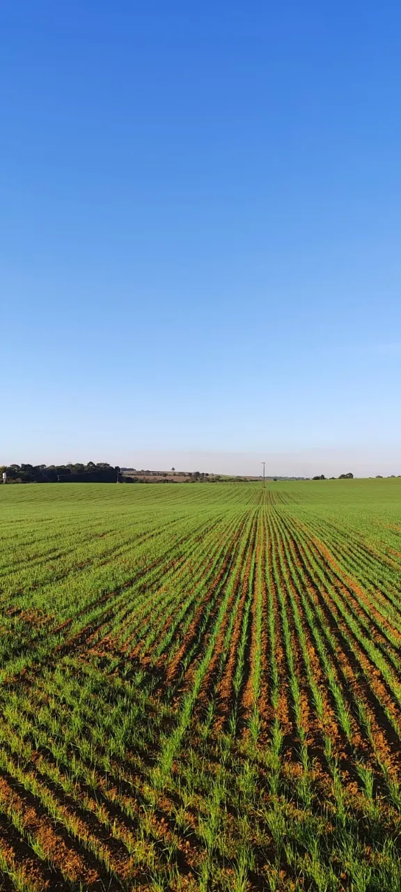 Fazenda à venda de 90 ha em Quadra, SP, Brasil