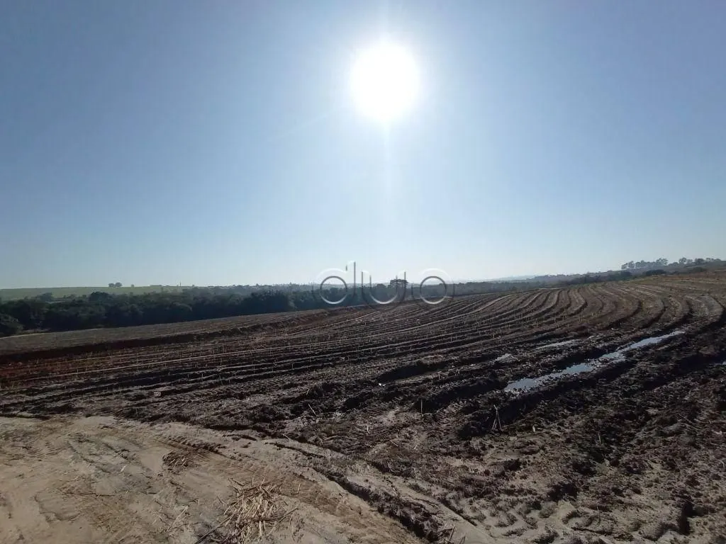 Fazenda à venda de 121 ha em Piracicaba, SP, Brasil
