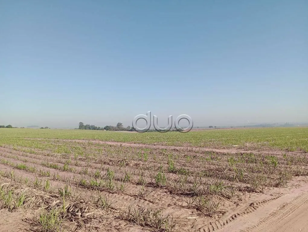 Fazenda à venda de 121 ha em Piracicaba, SP, Brasil