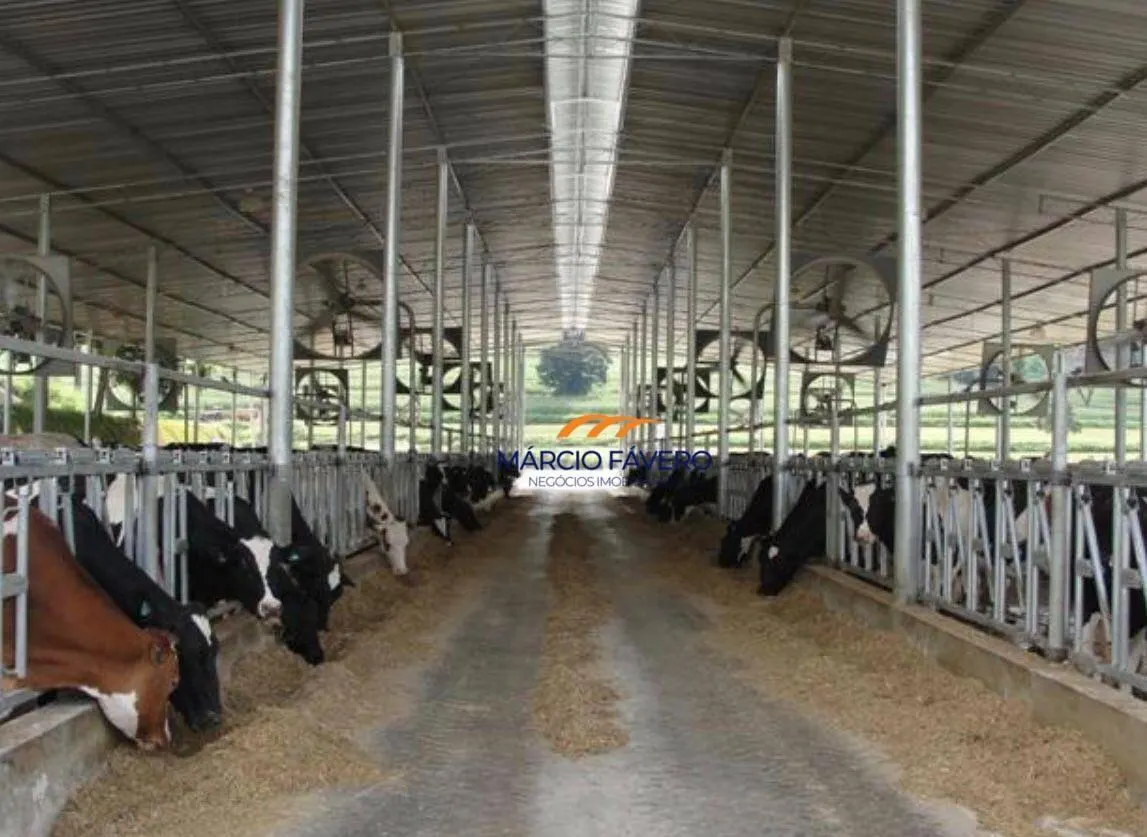 Fazenda à venda de 155 ha em Itapetininga, SP, Brasil