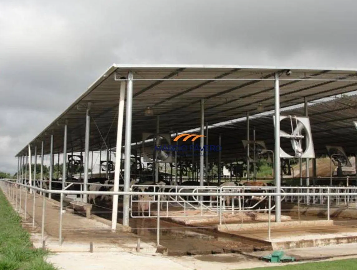 Fazenda à venda de 155 ha em Itapetininga, SP, Brasil