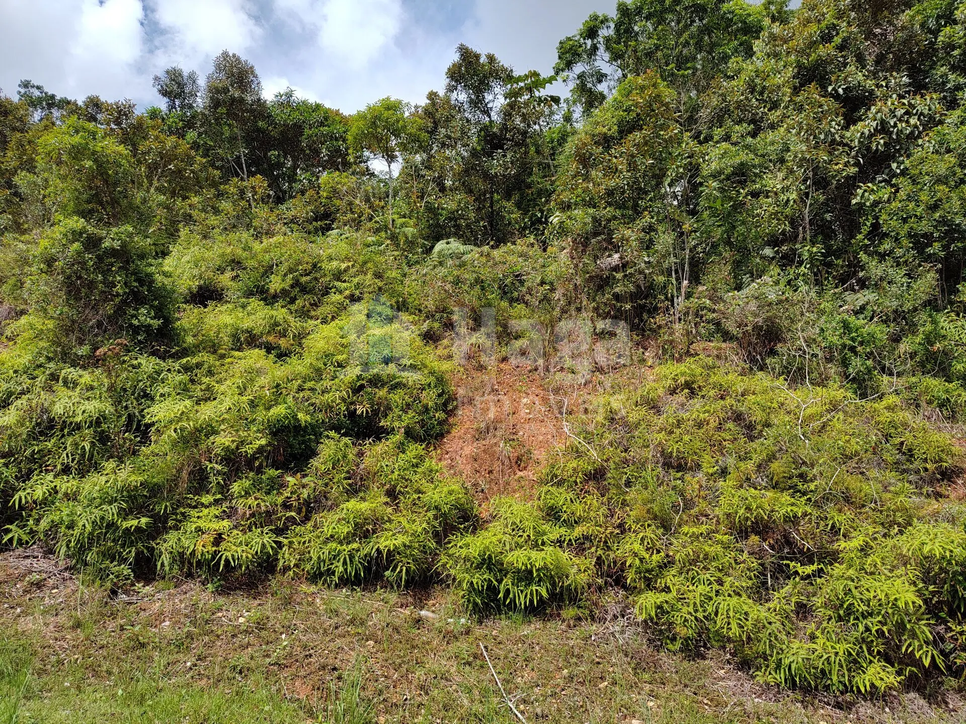 Plot for sale of 418 m² in Brusque, SC, Brazil