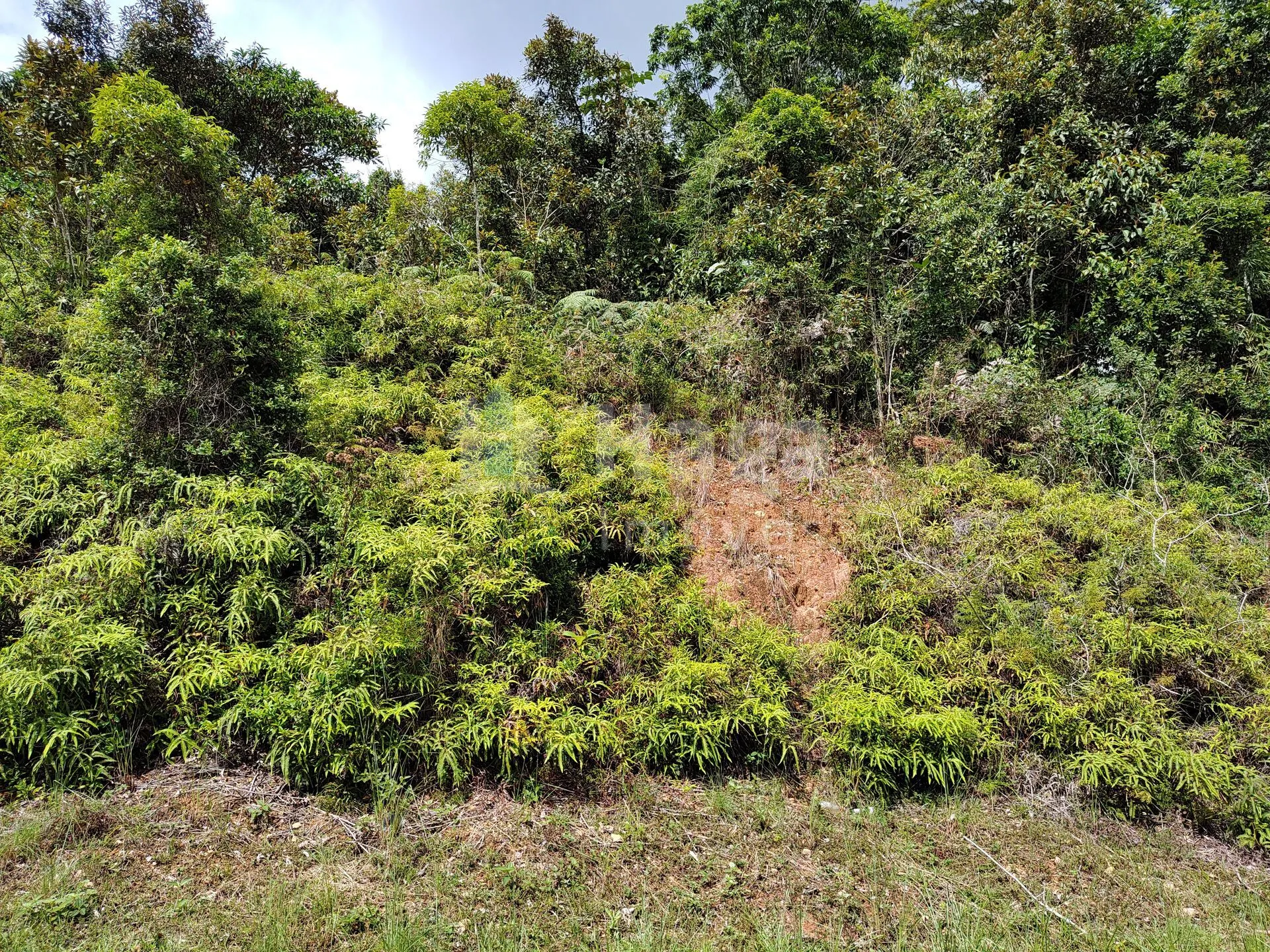 Plot for sale of 418 m² in Brusque, SC, Brazil