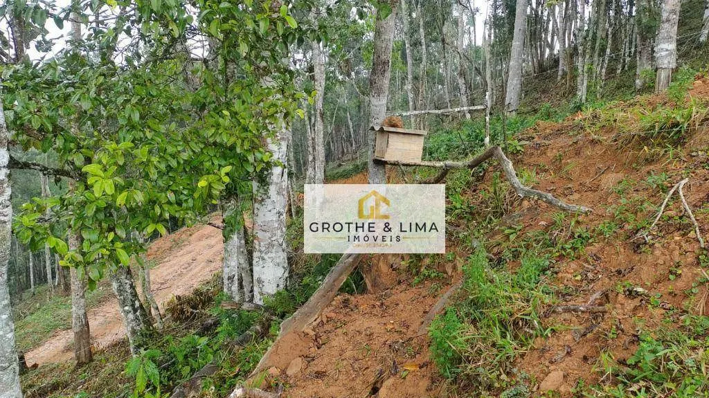 Plot for sale of 6 acres in Natividade da Serra, SP, Brazil