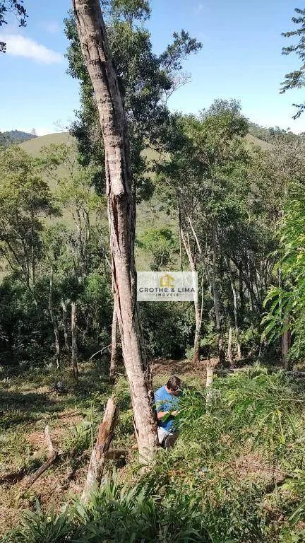 Plot for sale of 6 acres in Natividade da Serra, SP, Brazil