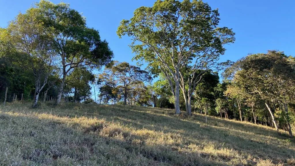 Sítio à venda de 3 ha em Estiva, MG, Brasil