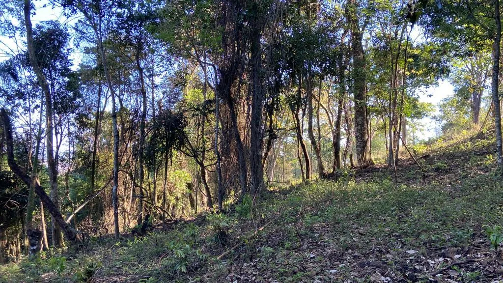 Sítio à venda de 3 ha em Estiva, MG, Brasil