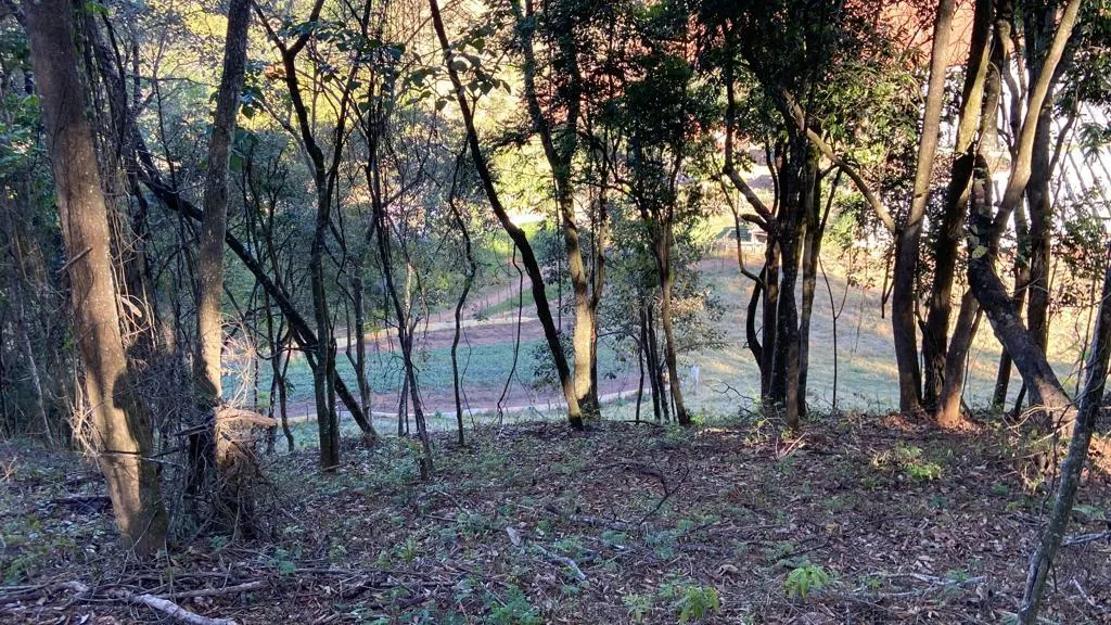 Sítio à venda de 3 ha em Estiva, MG, Brasil