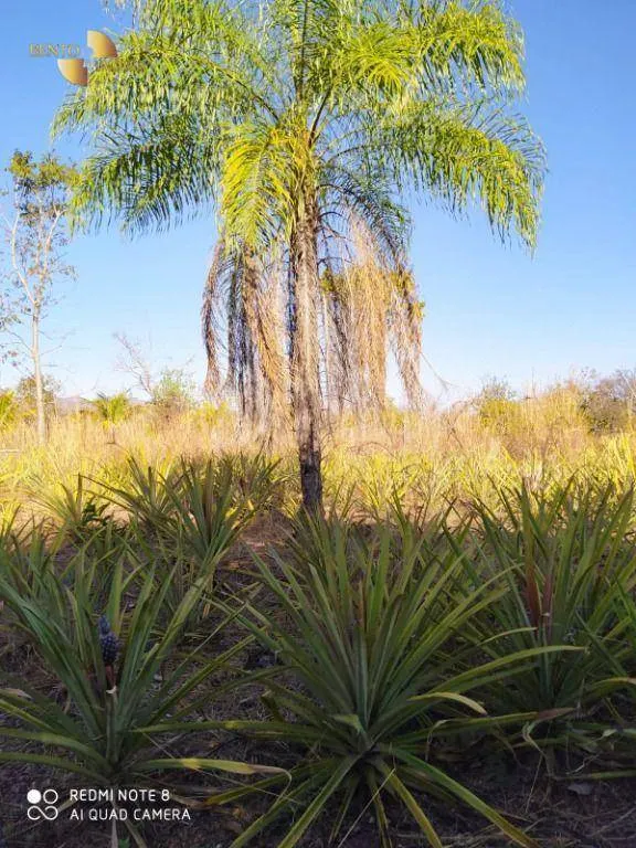 Chácara à venda de 5.000 m² em Chapada dos Guimarães, MT, Brasil