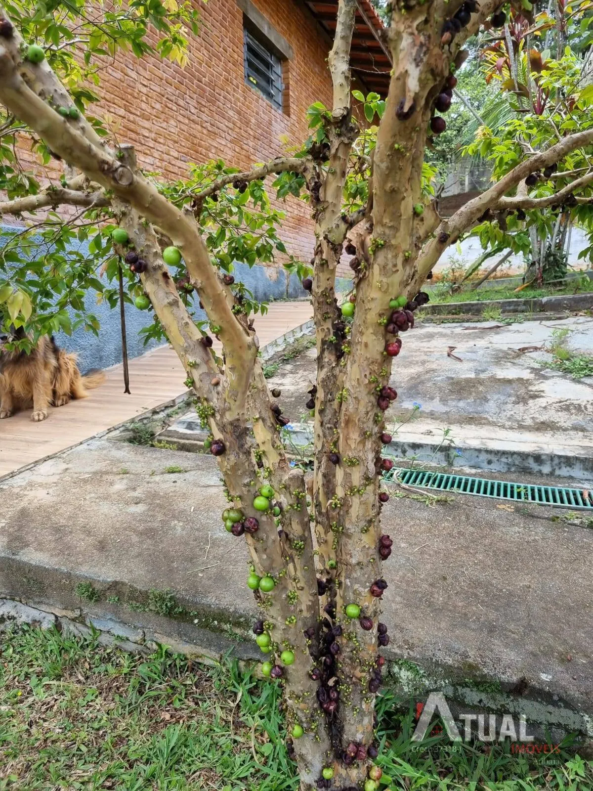 Country home for sale of 1 acres in Atibaia, SP, Brazil