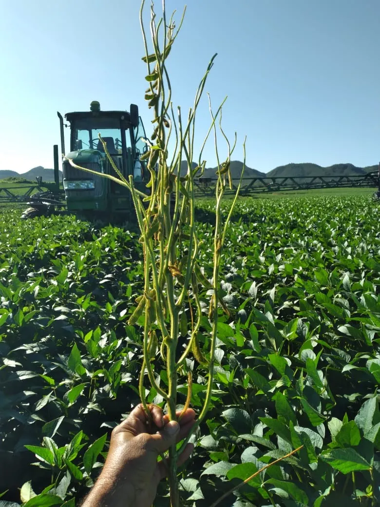 Fazenda à venda de 949 ha em Niquelândia, GO, Brasil