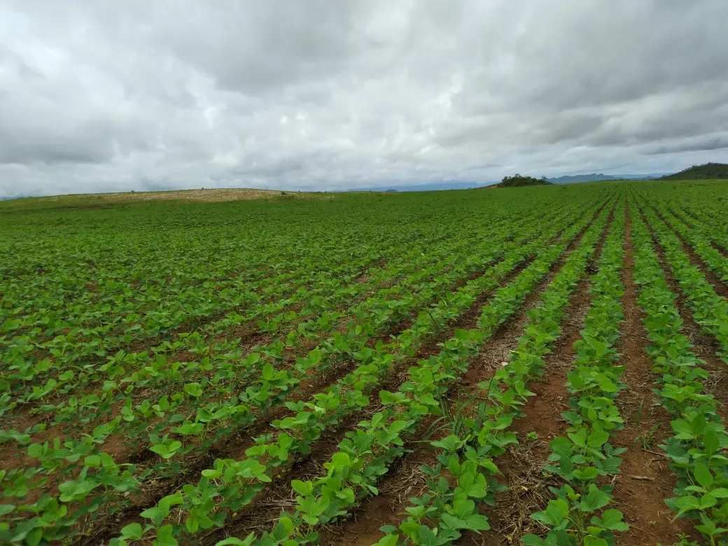 Fazenda à venda de 949 ha em Niquelândia, GO, Brasil