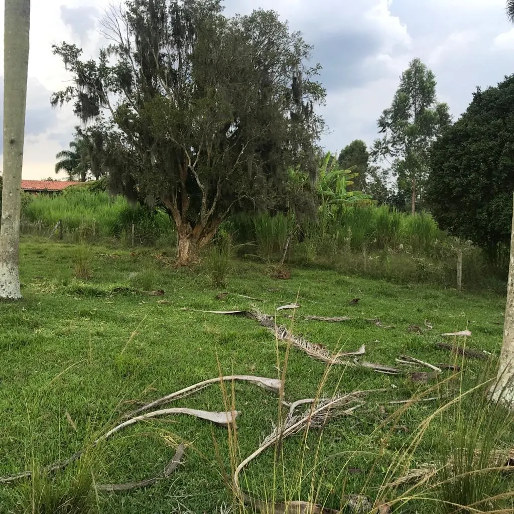 Sítio à venda de 15 ha em Itapetininga, SP, Brasil