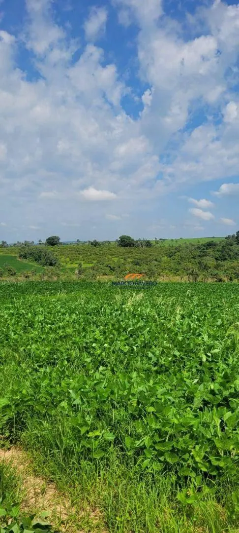 Fazenda à venda de 136 ha em Casa Branca, SP, Brasil