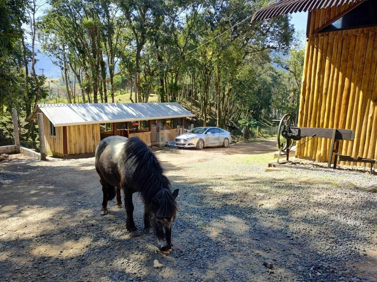 Country home for sale and to rent of 4 acres in Rio dos Cedros, SC, Brazil