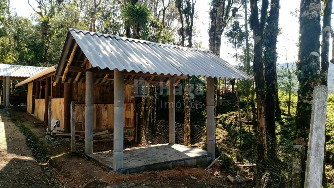 Country home for sale and to rent of 4 acres in Rio dos Cedros, SC, Brazil