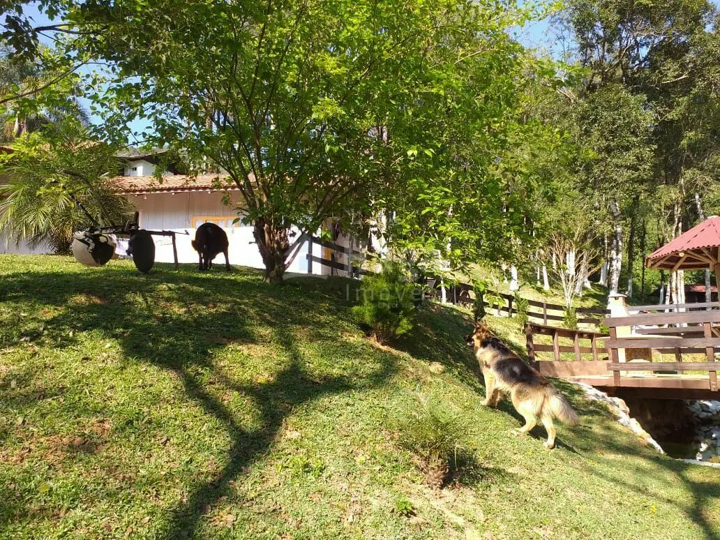 Country home for sale and to rent of 4 acres in Rio dos Cedros, SC, Brazil