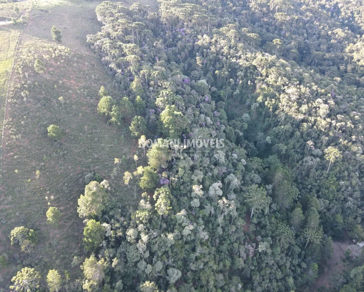 Plot for sale of 25 acres in Campos do Jordão, SP, Brazil