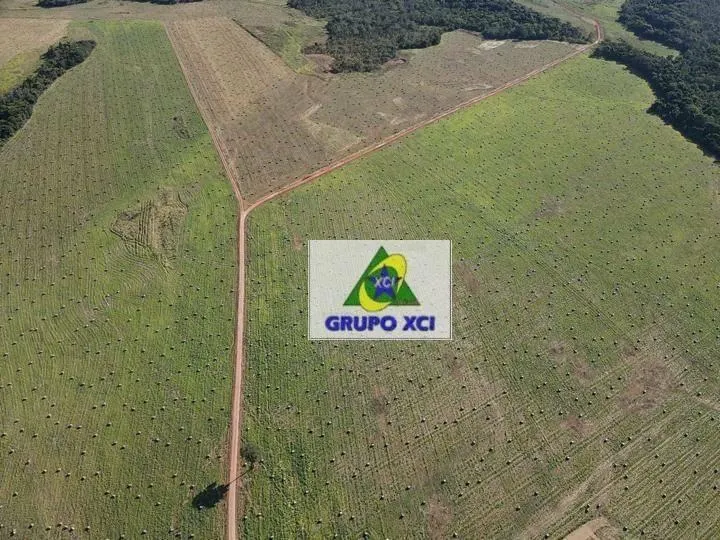 Fazenda à venda de 1.800 ha em General Carneiro, MT, Brasil