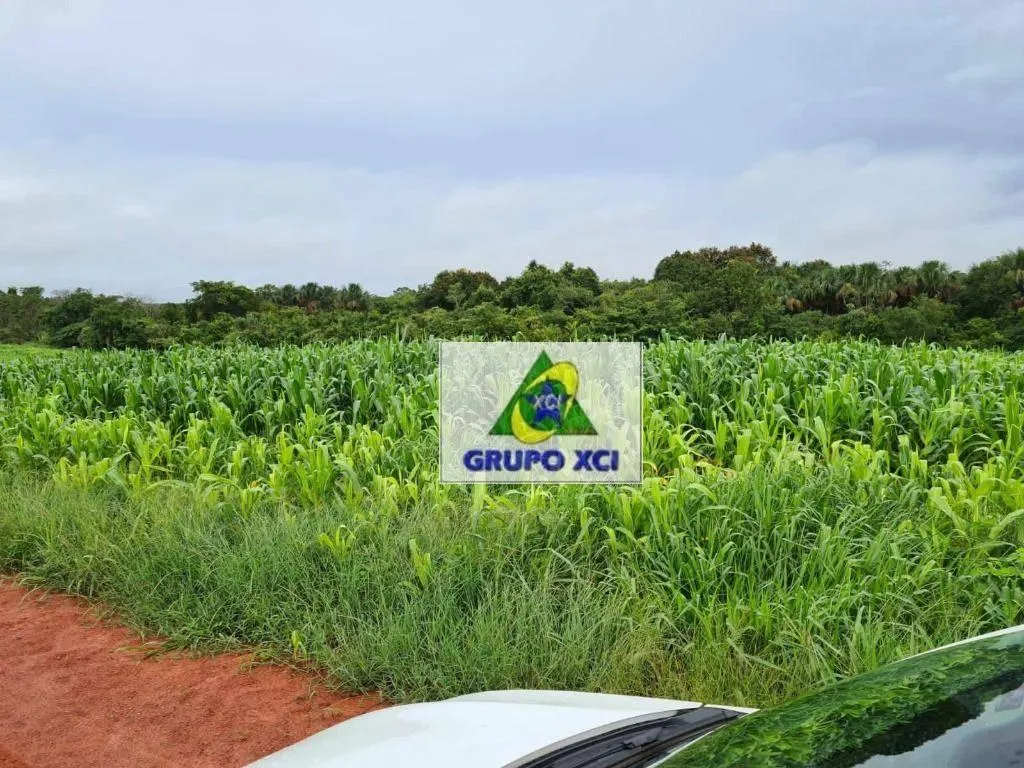 Fazenda à venda de 1.800 ha em General Carneiro, MT, Brasil