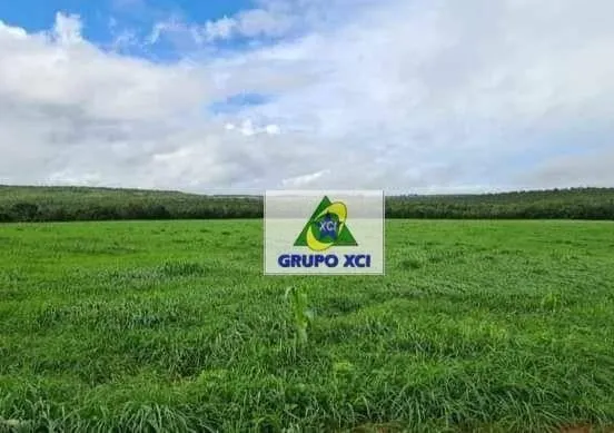 Fazenda à venda de 1.800 ha em General Carneiro, MT, Brasil