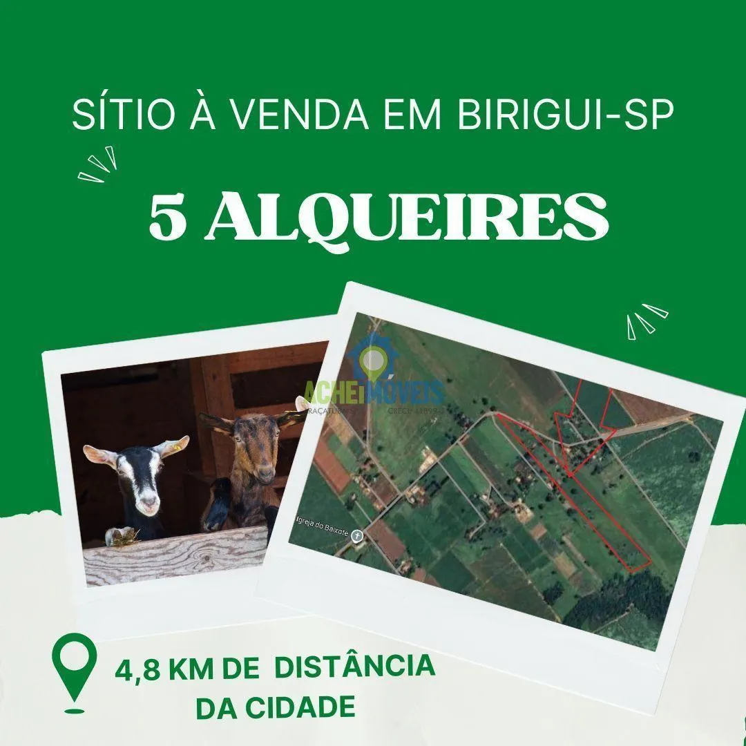 Sítio à venda de 5 ha em Birigui, SP, Brasil