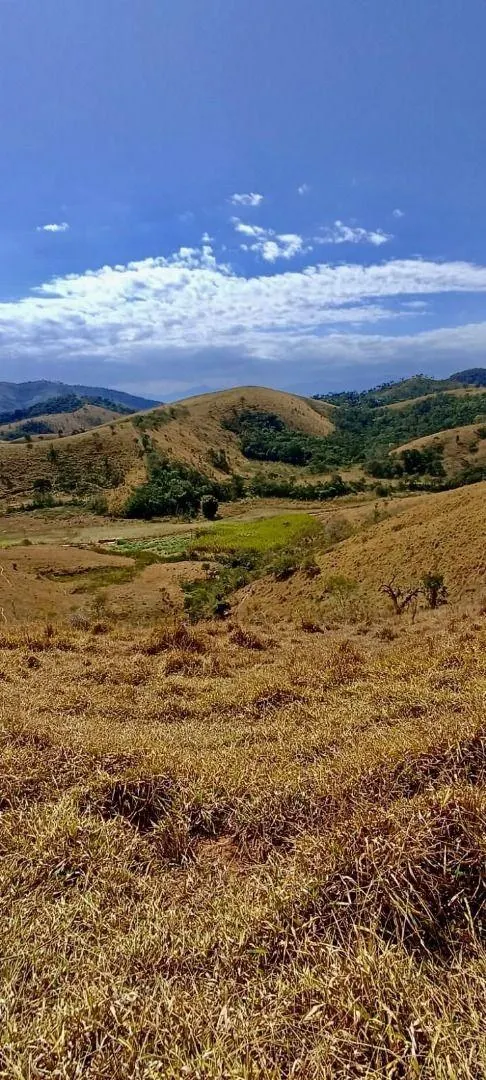 Fazenda à venda de 100 ha em Silveiras, SP, Brasil