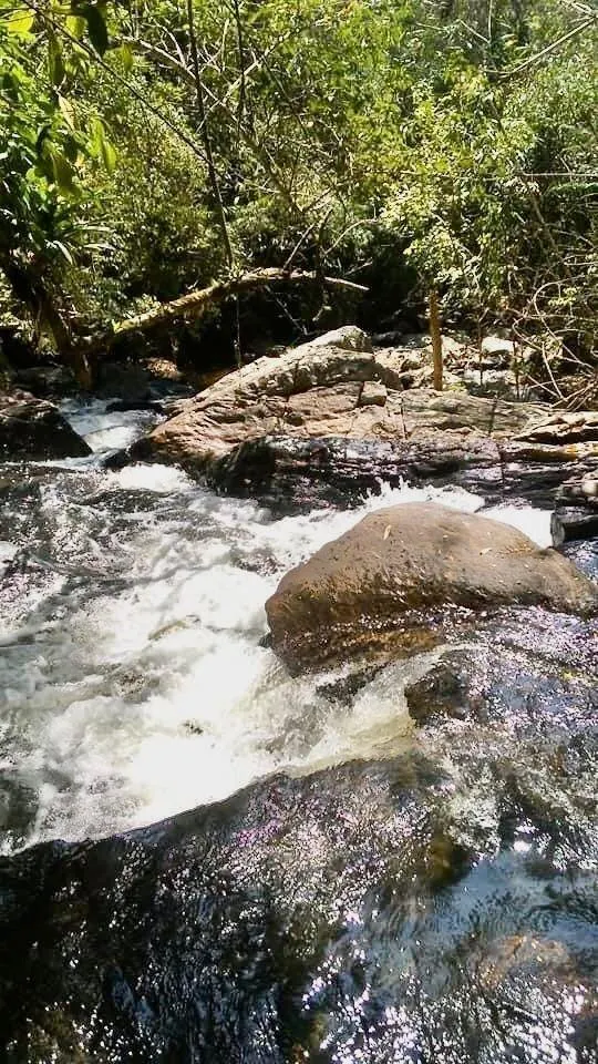 Fazenda à venda de 100 ha em Silveiras, SP, Brasil
