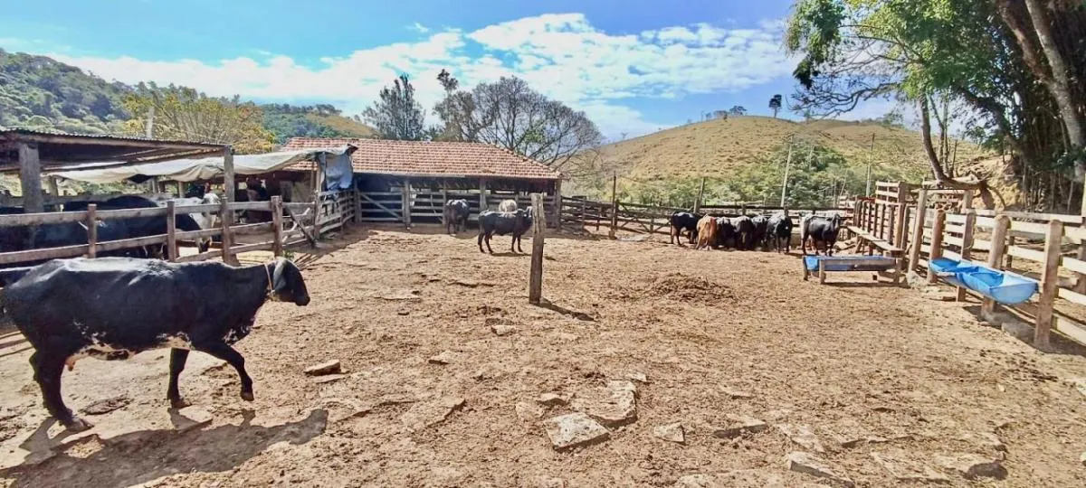 Fazenda à venda de 100 ha em Silveiras, SP, Brasil