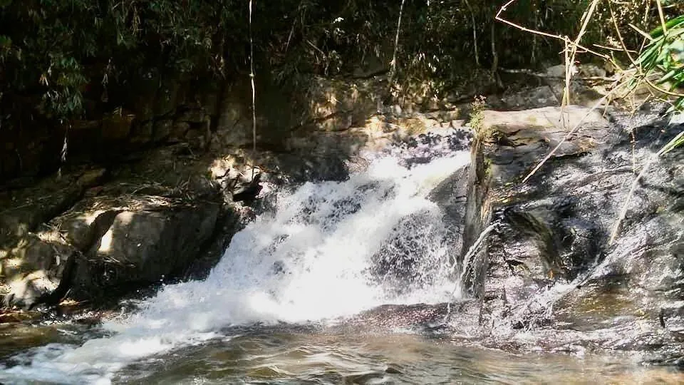 Fazenda à venda de 100 ha em Silveiras, SP, Brasil