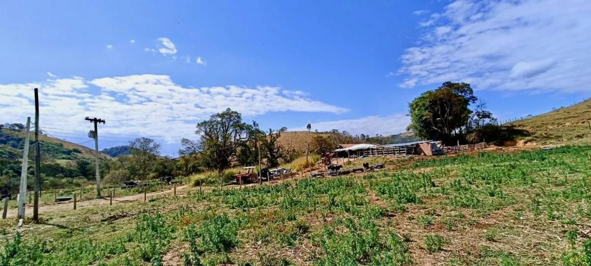 Fazenda à venda de 100 ha em Silveiras, SP, Brasil