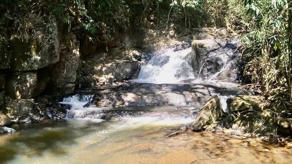 Fazenda à venda de 100 ha em Silveiras, SP, Brasil
