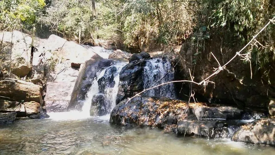Fazenda à venda de 100 ha em Silveiras, SP, Brasil