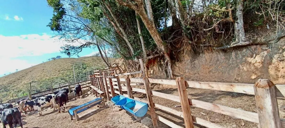 Fazenda à venda de 100 ha em Silveiras, SP, Brasil