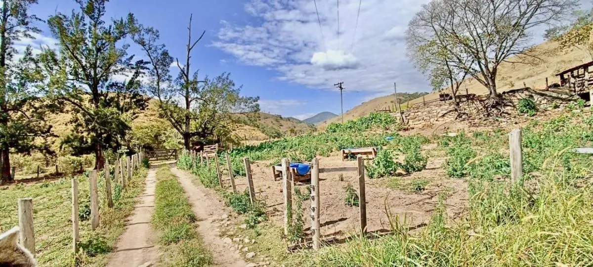 Fazenda à venda de 100 ha em Silveiras, SP, Brasil