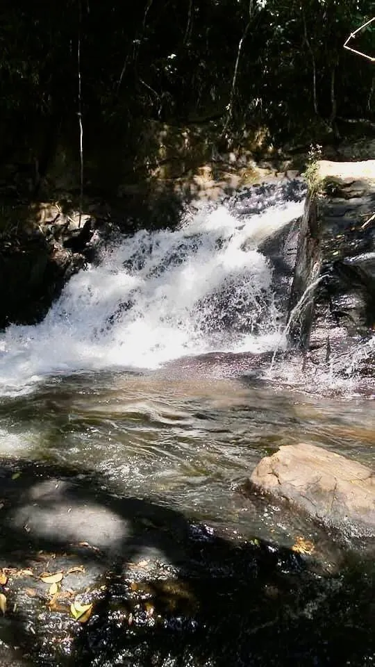 Fazenda à venda de 100 ha em Silveiras, SP, Brasil