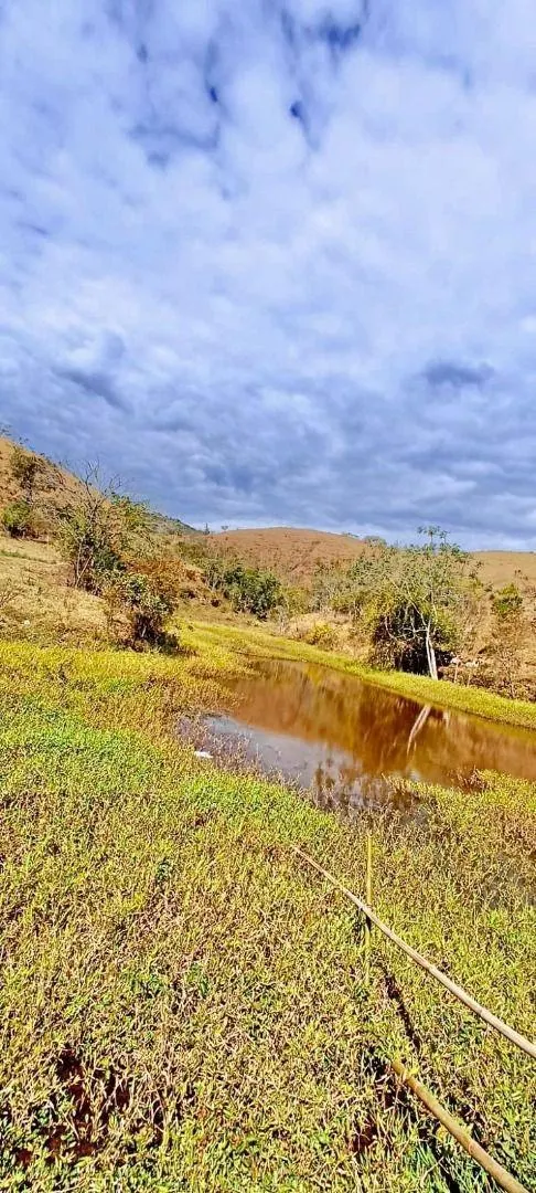 Fazenda à venda de 100 ha em Silveiras, SP, Brasil