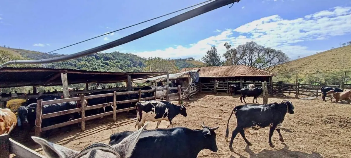 Fazenda à venda de 100 ha em Silveiras, SP, Brasil