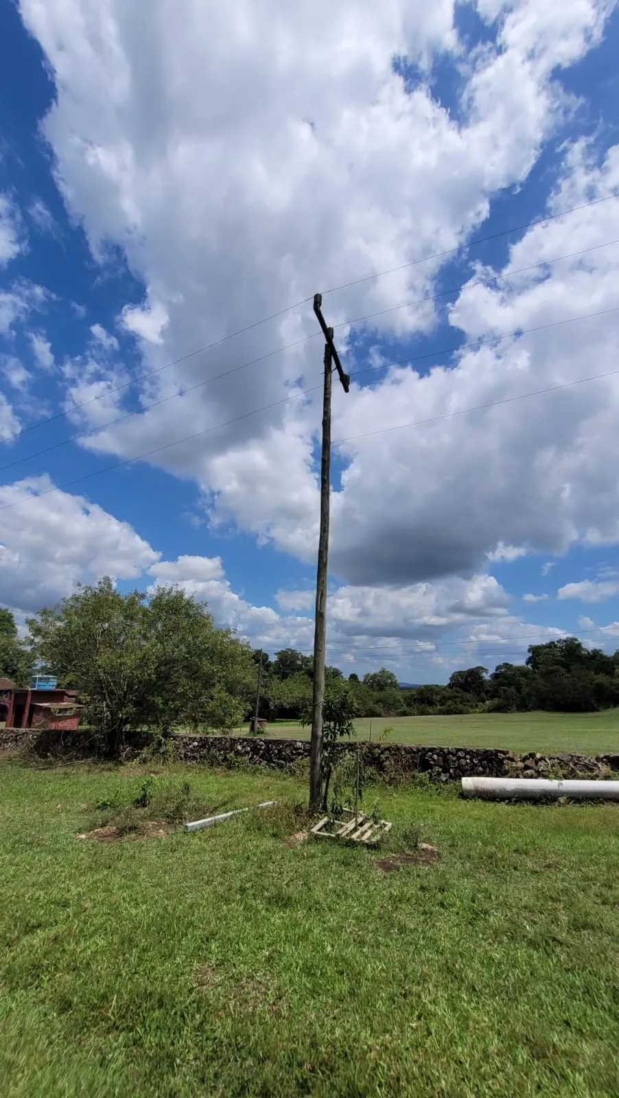 Sítio à venda de 6 ha em Dois Irmãos, RS, Brasil