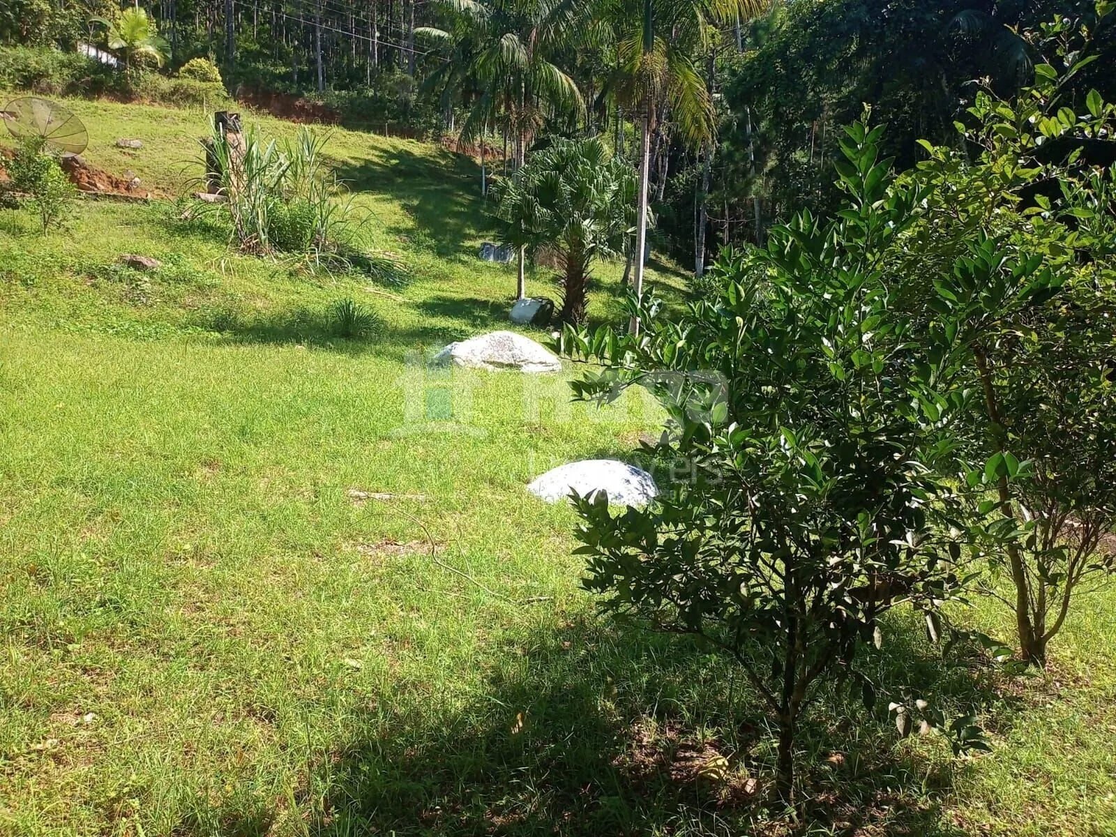 Chácara à venda de 4.000 m² em Nova Trento, SC, Brasil