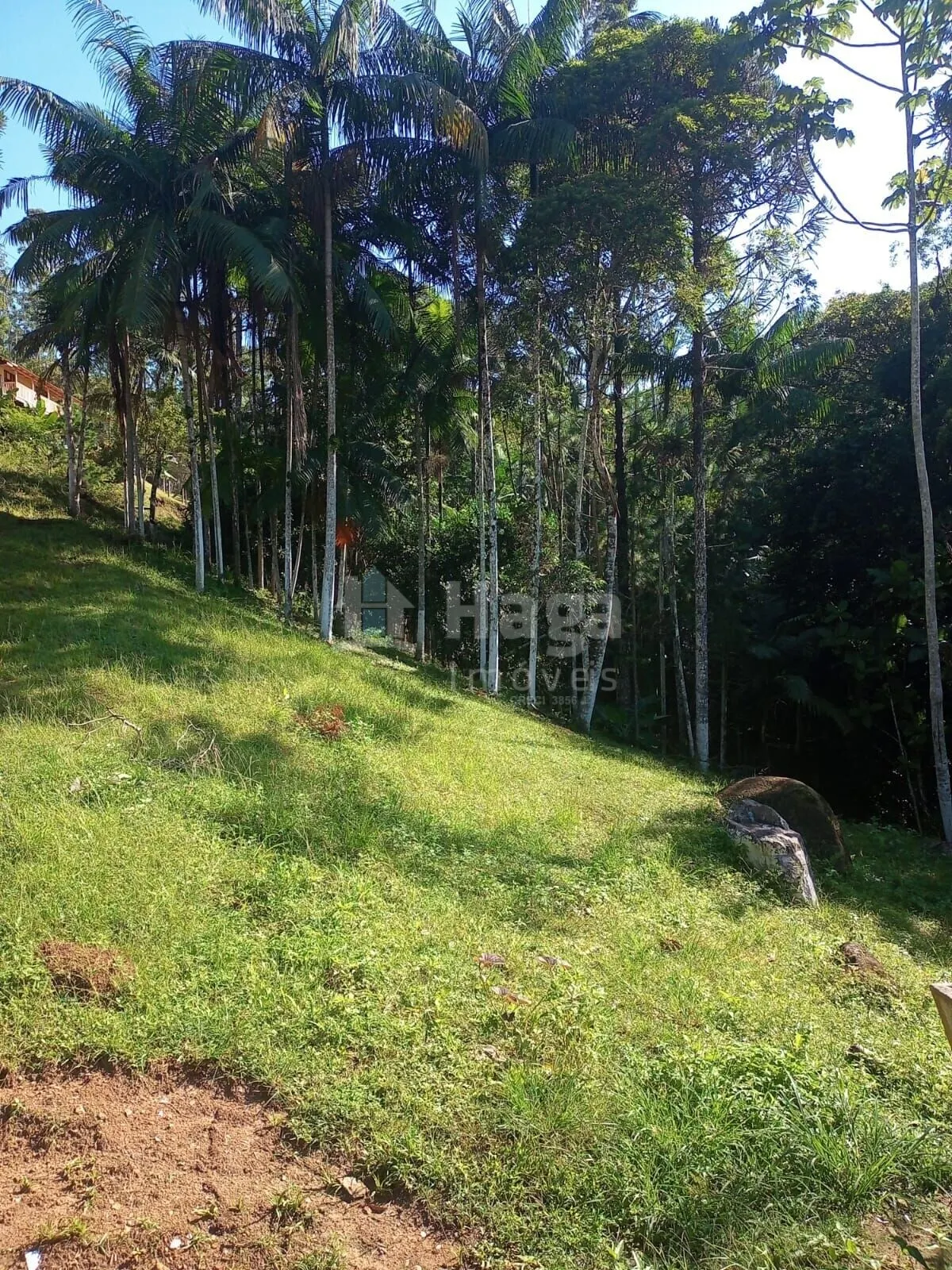 Chácara à venda de 4.000 m² em Nova Trento, SC, Brasil