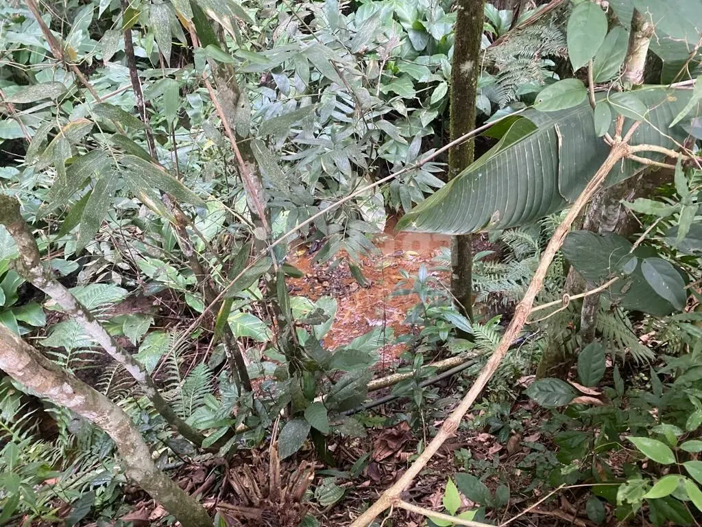 Fazenda à venda de 5.800 m² em Brusque, SC, Brasil