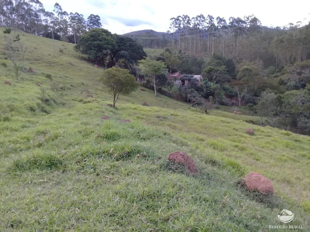 Sítio à venda de 4 ha em Igaratá, SP, Brasil