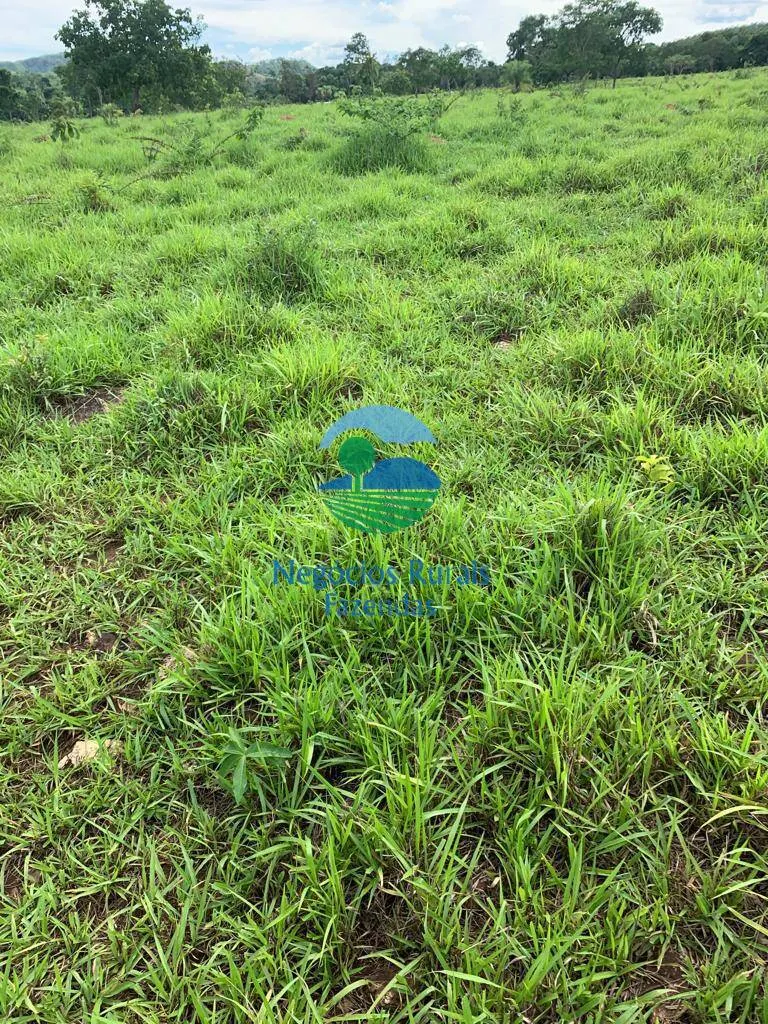 Fazenda à venda de 1.210 ha em Campinaçu, GO, Brasil