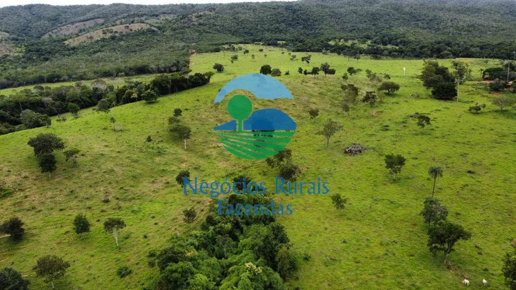 Fazenda à venda de 1.210 ha em Campinaçu, GO, Brasil