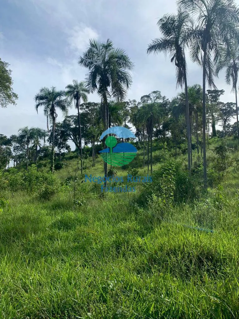 Fazenda à venda de 1.210 ha em Campinaçu, GO, Brasil