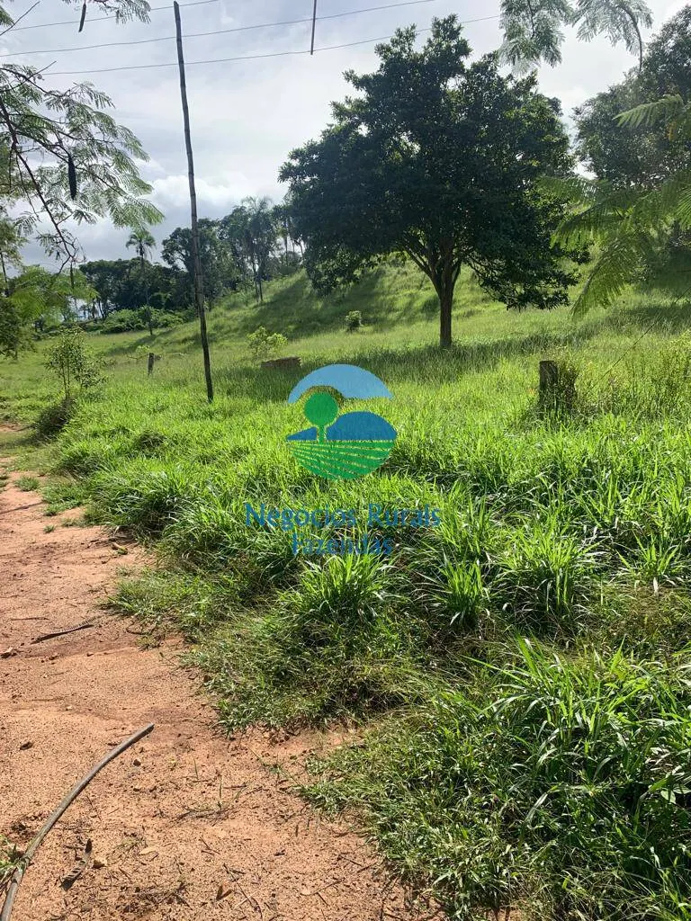Fazenda à venda de 1.210 ha em Campinaçu, GO, Brasil
